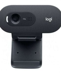 Webcam Logitech C505E/ 1280 x 720 HD
