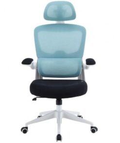Silla Gaming Woxter Ergo/ Azul