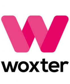 Silla Gaming Woxter Stinger Alien Titanium/ Gris Titanio